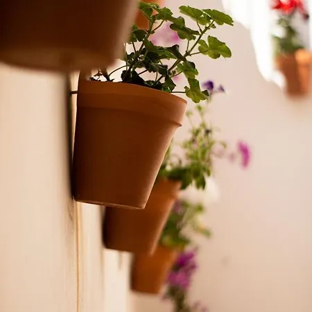 Otel Don Paula Cordoba