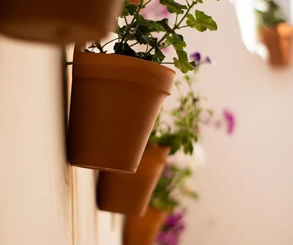 호텔 Don Paula 코르도바